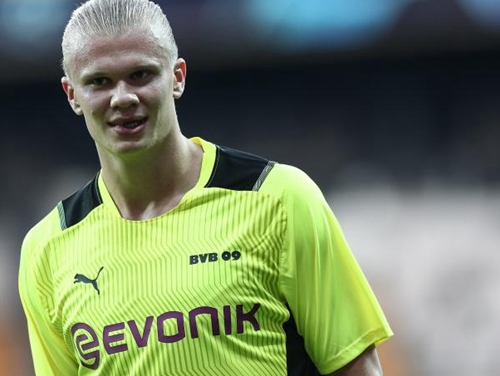 2025中国自由式小轮车联赛（深圳•光明站）12月6日开赛